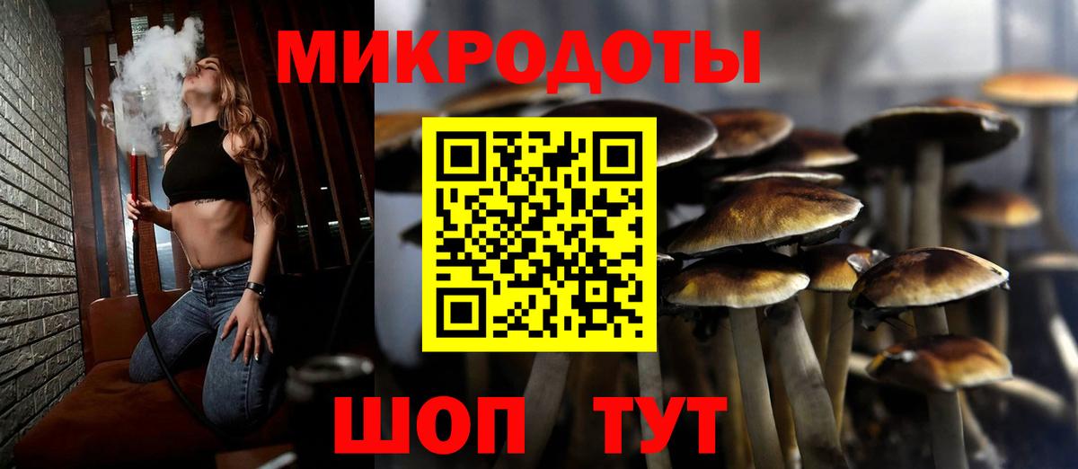 купить  цена  Вход с VPN  Нерюнгри  Псилоцибиновые грибы MAGIC MUSHROOMS 