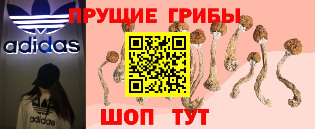 Псилоцибиновые грибы Psilocybine cubensis  Нерюнгри 