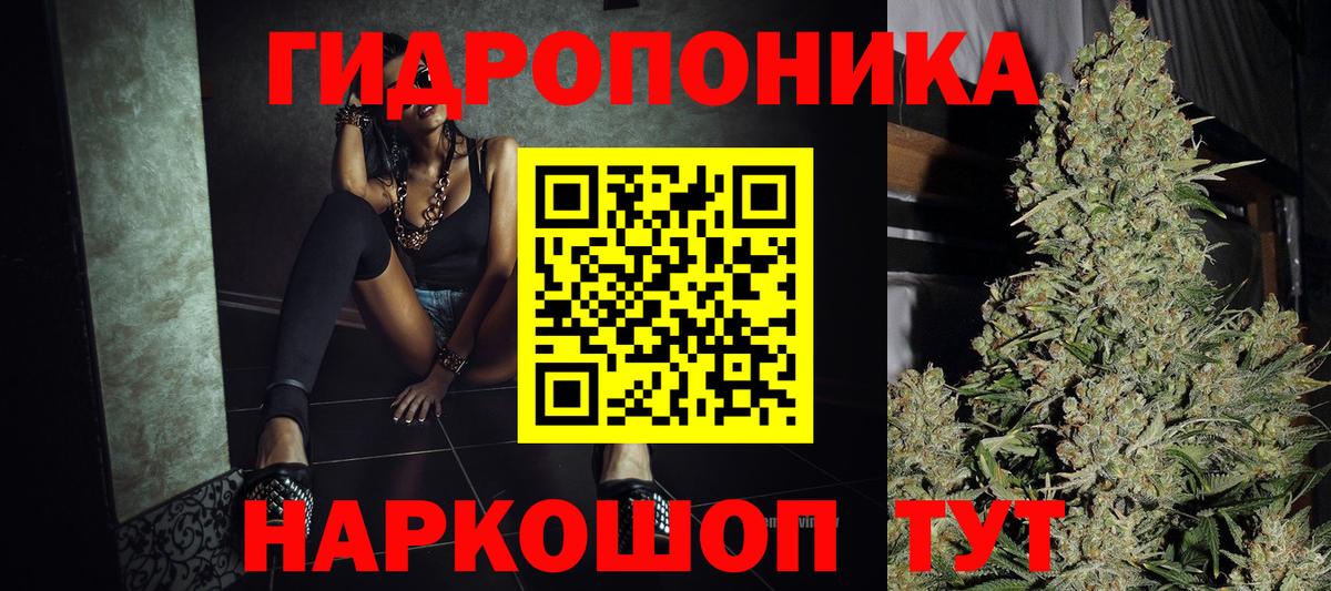 МАРИХУАНА сатива Нерюнгри